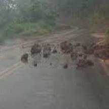 Desmoronamento fecha via em Brumadinho - Redes sociais