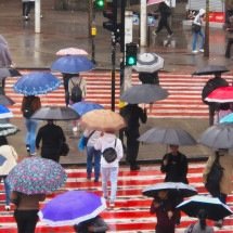 BH está em alerta de chuva com raios e vento nas próximas horas - Jair Amaral/EM/D.A.Press