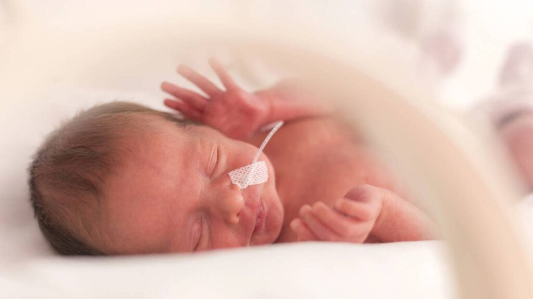 Entenda a retinopatia da prematuridade, que pode levar à cegueira, como aconteceu com Stevie Wonder - Portal Giro 10