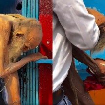 Homem misterioso que dizia ter ‘188 anos’ virou lenda na web - Montagem/Reprodução/Redes sociais