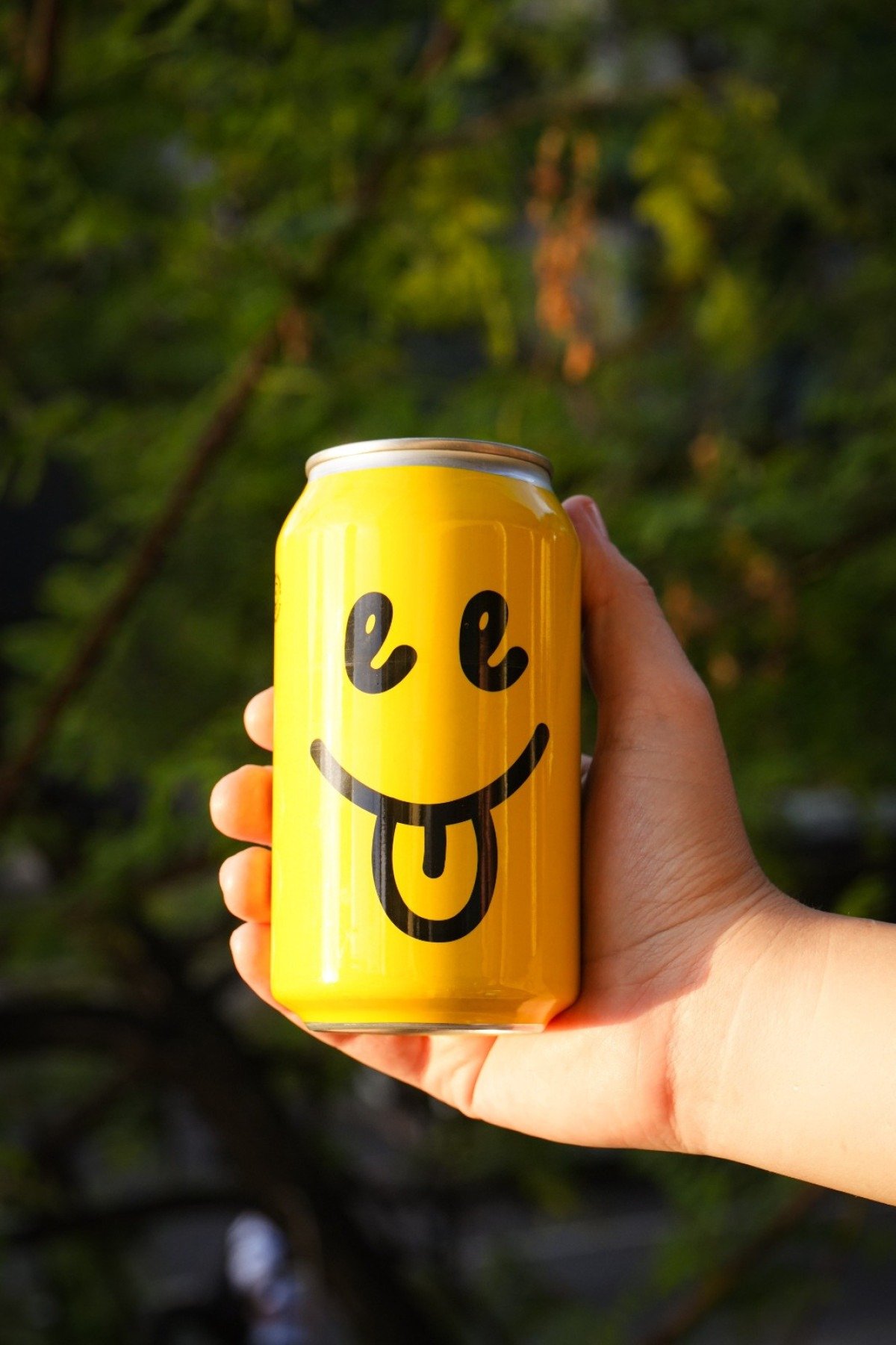 O Lambe Lambe Zen combina frutas, especiarias, flores, plantas adapt&oacute;genas e ingredientes fermentados