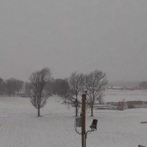 Tempestade de inverno histórica deixa mortos e paralisa dezenas de estados nos EUA -  Reprodução de vídeo TV Globo