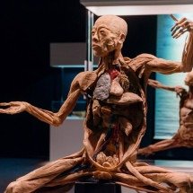 Exposição hiper-realista com corpos humanos chega a BH - Diego Walendorff Petter/Divulgação
