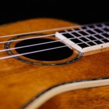 Dia da Bossa Nova: veja expoentes do movimento musical transformou a música brasileira - Samuel Ramos/Unsplash

