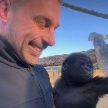 História curiosa envolve bebê gorila e cuidador na Austrália - reprodução / instagram @zookeeper_chad