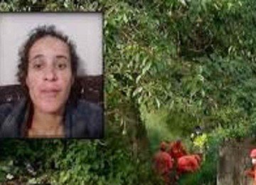 Corpo estava num terreno íngreme, no meio de uma mata -  (crédito: Instagram)