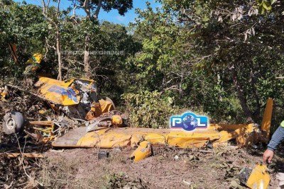 Queda de avião ocorreu em área de mata na tarde desta segunda-feira -  (crédito: CBMMG)