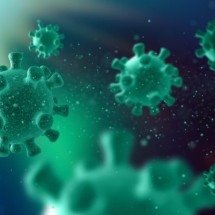 Surto do vírus Nipah na Índia causa preocupação em países vizinhos; veja o que se sabe até agora - Freepik/kjpargeter