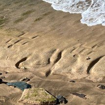 Maré baixa revela desenhos de 500 anos em praia do Havaí -  Foto: Nathan Wikes / Disponível: Site US Army