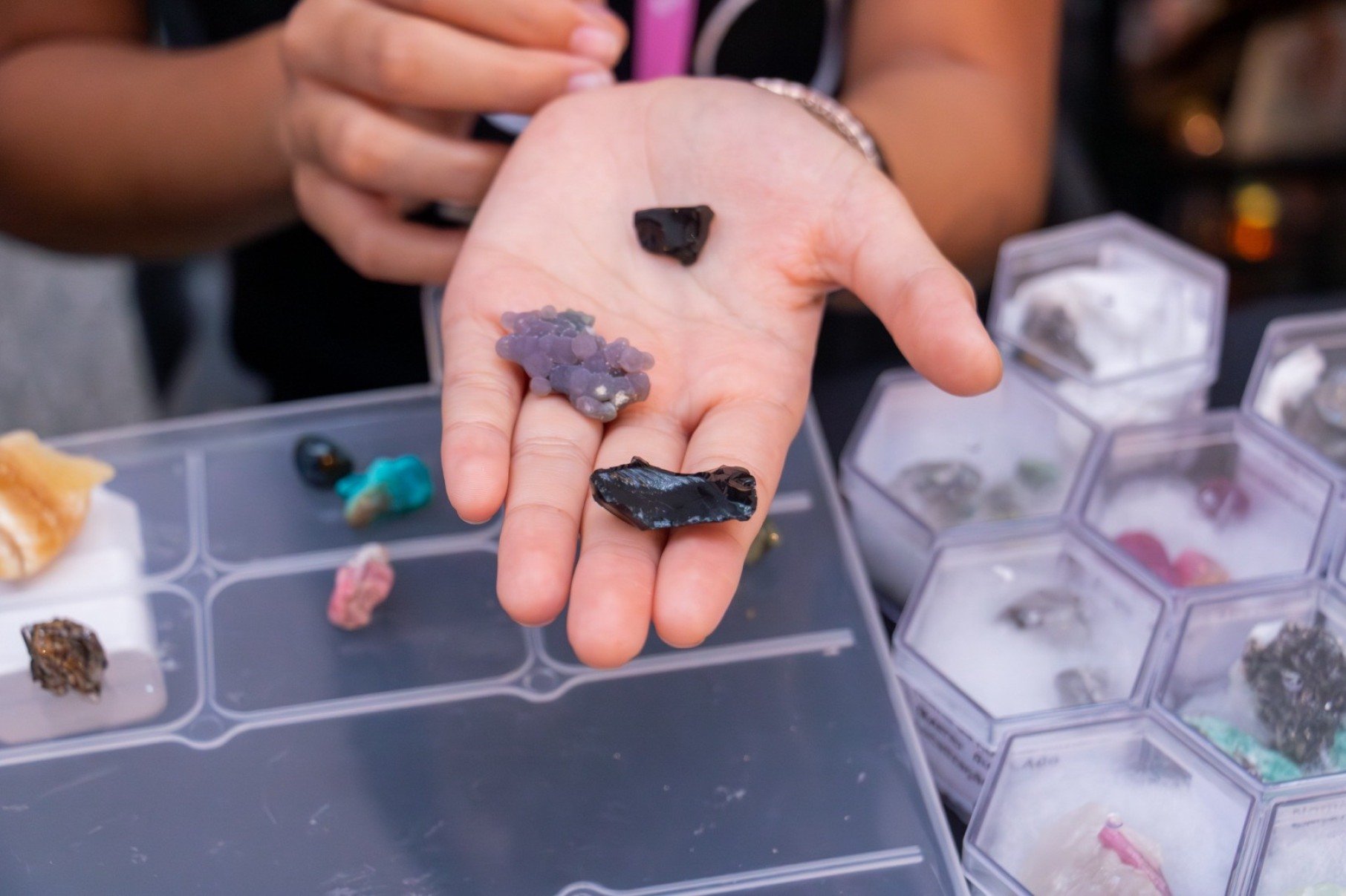 Ao todo, 25 crian&ccedil;as e adolescentes se inscreveram para expor suas cole&ccedil;&otilde;es, ocupando cerca de 20 mesas no espa&ccedil;o do museu.-Matheus Gramigna/Divulga&ccedil;&atilde;o