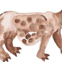 'Aluvião' transforma o Rio São Francisco em matéria de poesia - Davi de Jesus do Nascimento/Reprodução