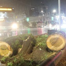 Após temporal, BH registra quedas no fornecimento de energia - Marcos Vieira/EM/D.A.Press