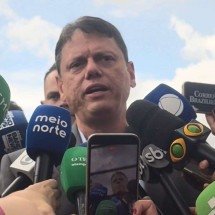 Após visitar Bolsonaro, Tarcísio vai apoiar Flávio para a Presidência - Wal Lima/CB/D.A Press