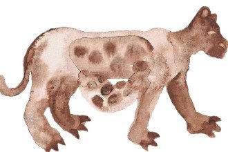 'Aluvião' transforma o Rio São Francisco em matéria de poesia