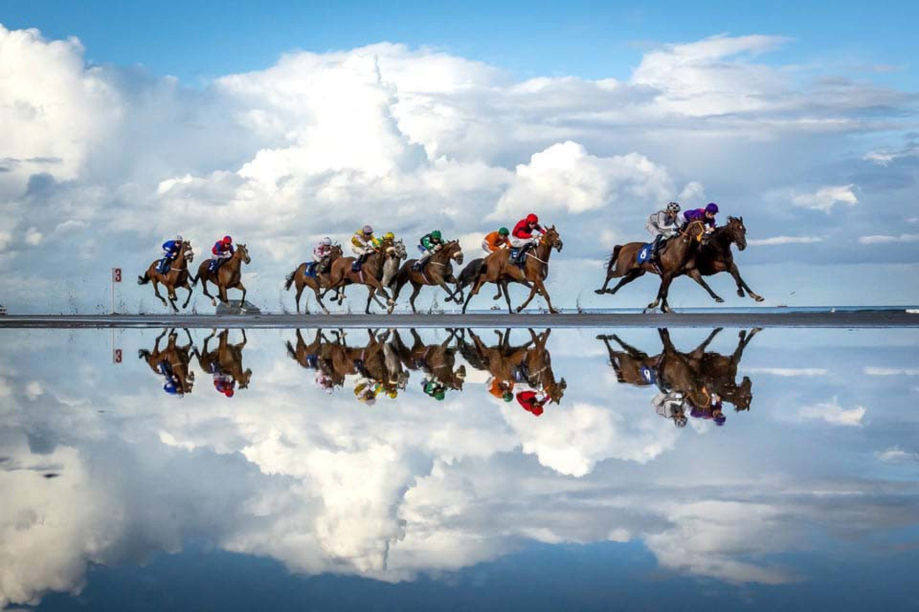 Hipismo: Morgan Treacy, ouro com "Equine Reflection".
      - Morgan Treacy/WSPA
