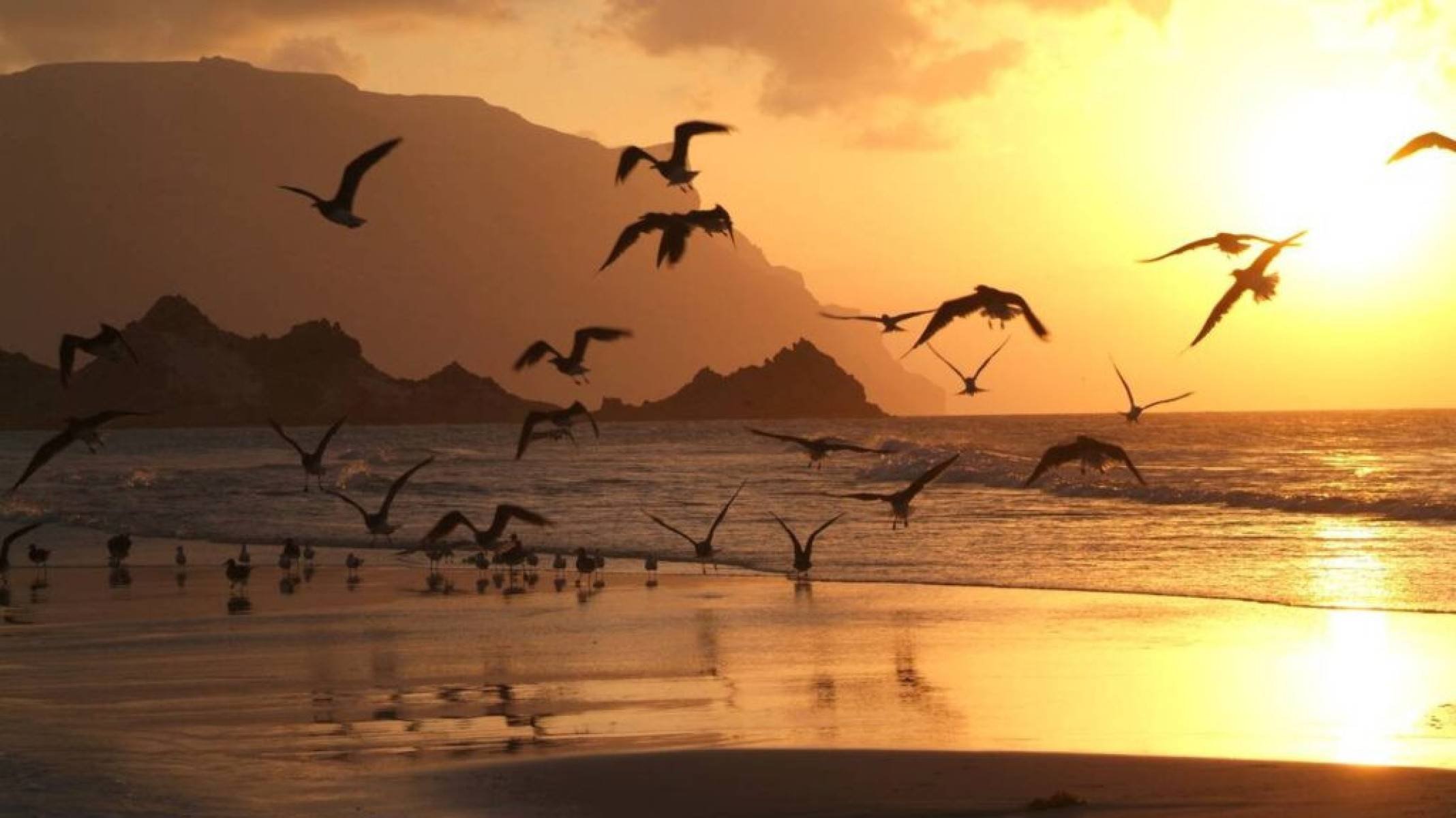 Ilhas Socotra: onde a Terra se torna alienígena - Portal Giro 10