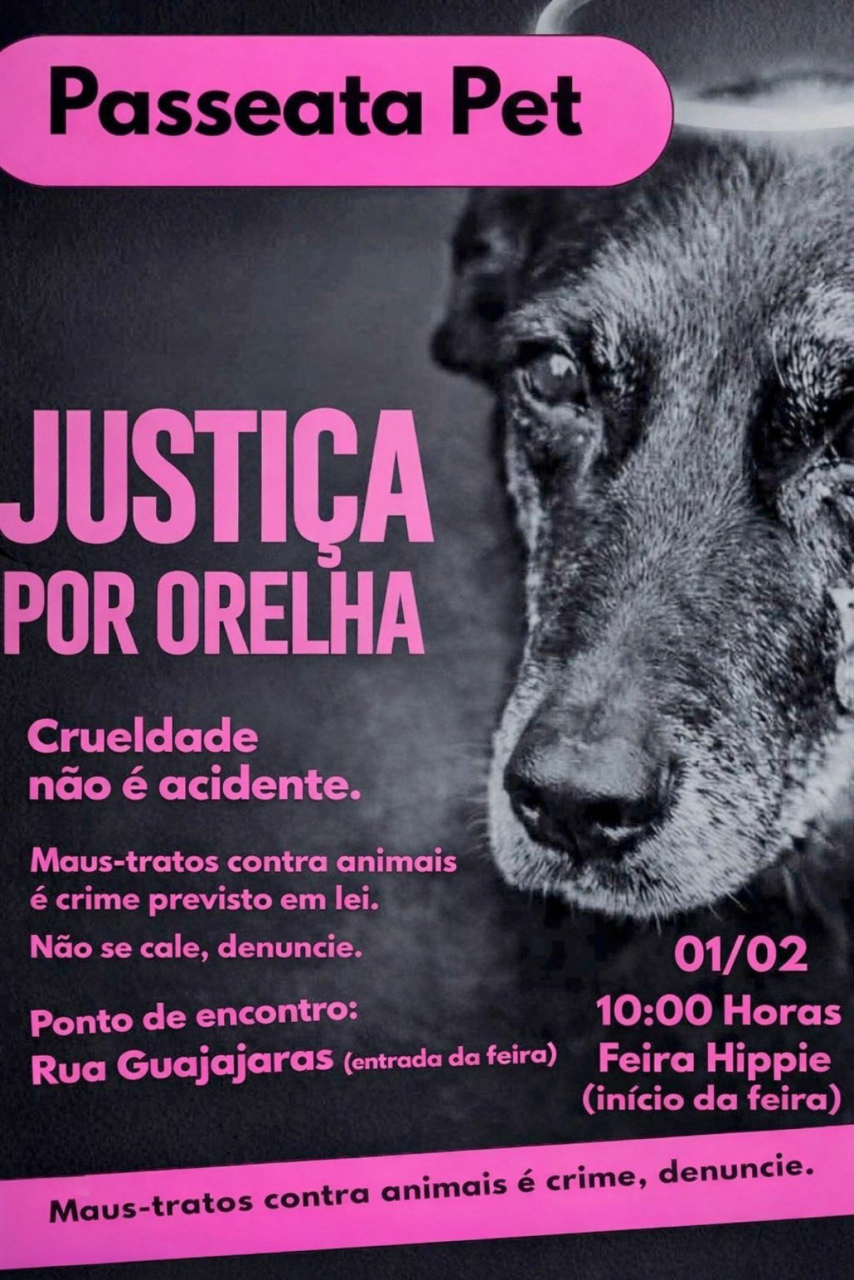 Passeata por c&atilde;o Orelha ser&aacute; realizada em BH no pr&oacute;ximo domingo (1/2) 