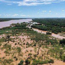 Chuvas causam inundação no Rio São Francisco em Minas - Defesa Civil de Sao Francisco/divulga&ccedil;&atilde;o