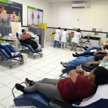 Doação de sangue - Grau Educacional/Divulgação 