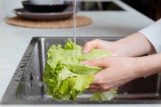 Higiene e manipulação de alimentos elevam riscos de surtos bacterianos