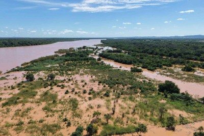 Rio S&atilde;o Francisco teve aumento de volume devido &agrave;s chuvas de janeiro de 2026 -  (crédito: Defesa Civil de Sao Francisco/divulga&ccedil;&atilde;o)