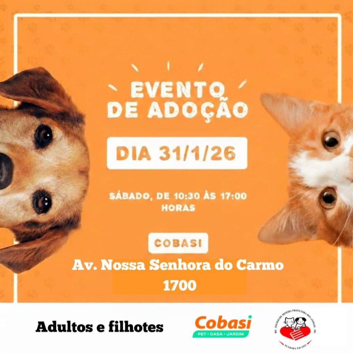 A ação acontece das 10h30 às 17h, na loja da varejista Cobasi, da Avenida Nossa Senhora do Carmo, 1700, Bairro Savassi-SMPA/Divulgação