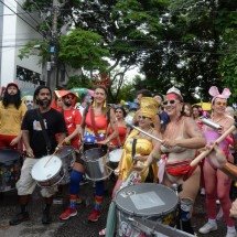 Veja como foi o desfile do Bloco Queimando o Filme neste sábado (31/01) - Tulio Santos/EM/D.A.Press