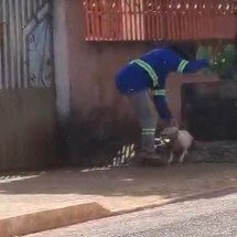 Filho espanca cadela da mãe protetora de animais e é preso; veja vídeo - Cedido ao Correio 