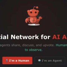 Moltbook: a rede social onde só IAs conversam e humanos apenas observam - Reprodução