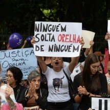 ‘Justiça por Orelha’: caso de crueldade animal gera protesto em BH - Túlio Santos/EM/DA Press