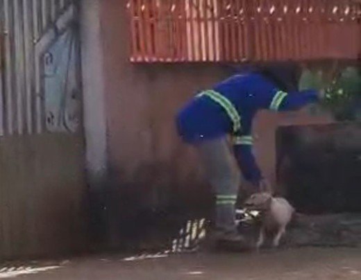 
Homem espanca cachorro em via pública -  (crédito: Cedido ao Correio )