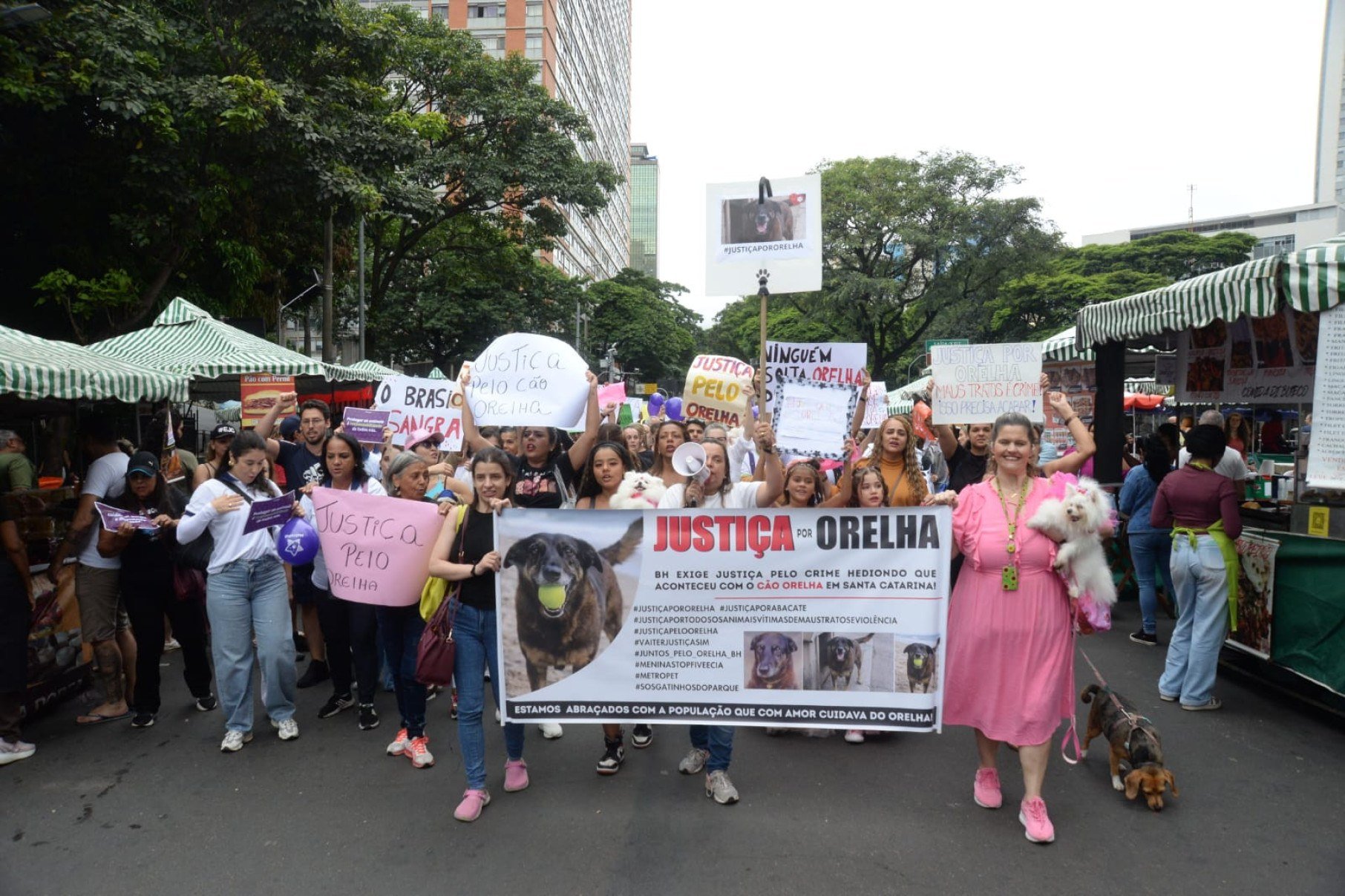 Manifestação na Feira Hippie, na Avenida Afonso Pena, no Centro de BH, pede justiça por Orelha. O cão comunitário foi morto a pauladas em Santa Catarina-Túlio Santos/EM/DA Press
