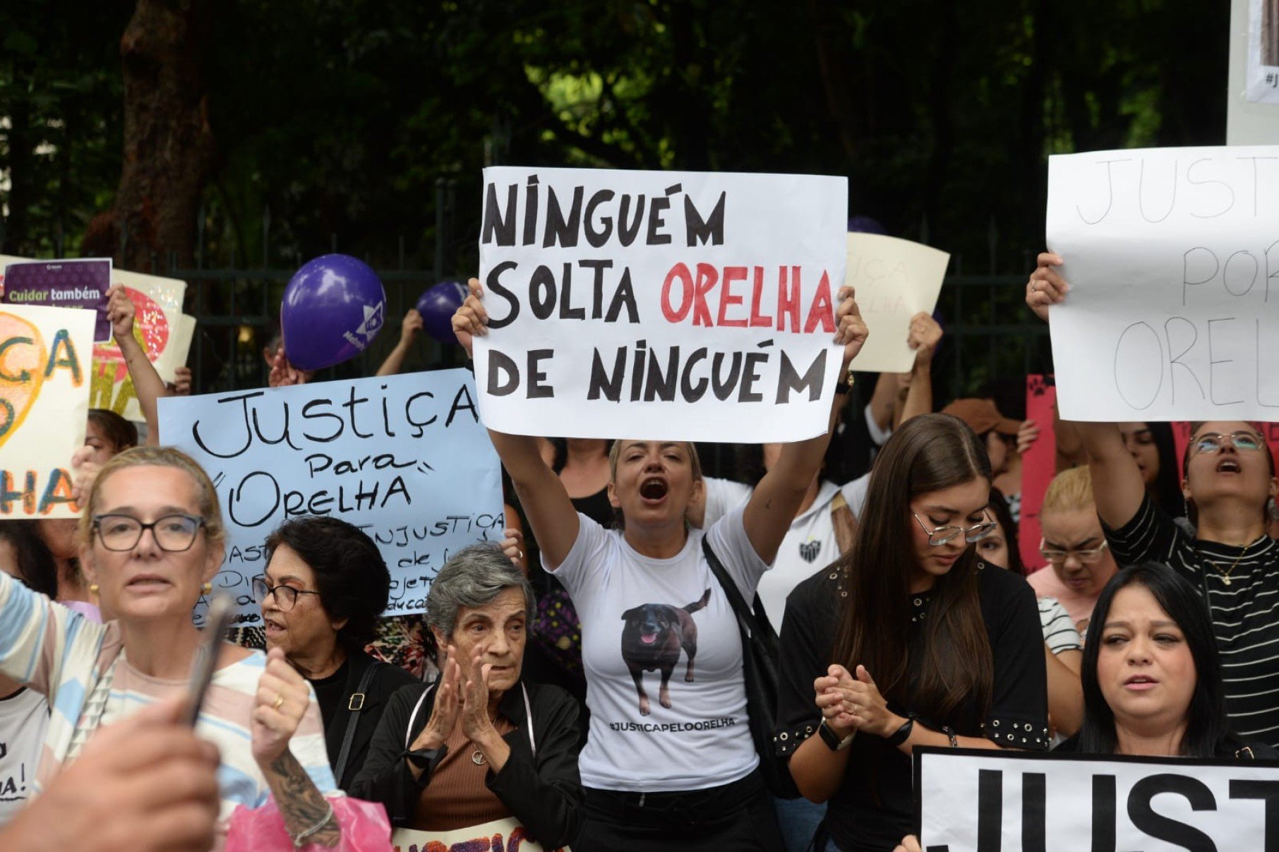Manifestação na Feira Hippie, na Avenida Afonso Pena, no Centro de BH, pede justiça por Orelha. O cão comunitário foi morto a pauladas em Santa Catarina-Túlio Santos/EM/DA Press