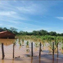 A cidade de São Francisco registrou a situação mais crítica no fim de semana, com plantações e casas tomadas pela água

 -  (crédito: Defesa Civil de São Francisco)