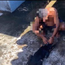 Homem é preso por maus-tratos a animal no Norte de Minas - Reprodução/ Redes socias