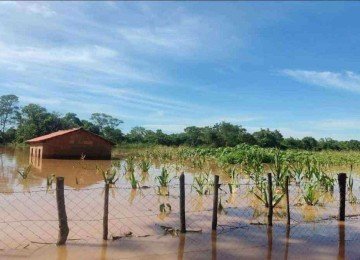 A cidade de São Francisco registrou a situação mais crítica no fim de semana, com plantações e casas tomadas pela água

 -  (crédito: Defesa Civil de São Francisco)