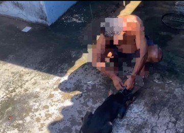 No vídeo gravado por moradores, mostra o suspeito de 54 anos prendende na cabeça da cadela uma focinheira artesanal improvisada de forma brusca
 -  (crédito: Reprodução/ Redes socias)
