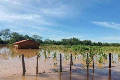 A cidade de São Francisco registrou a situação mais crítica no fim de semana, com plantações e casas tomadas pela água

 -  (crédito: Defesa Civil de São Francisco)