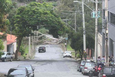 Com a queda da árvore de grande porte, cabos de energia se romperam e caíram ao solo ainda energizados -  (crédito: Edésio Ferreira/EM/D.A.Press)