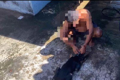 No vídeo gravado por moradores, mostra o suspeito de 54 anos prendende na cabeça da cadela uma focinheira artesanal improvisada de forma brusca
 -  (crédito: Reprodução/ Redes socias)