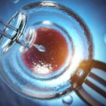 FIV  pode evitar a transmissão de doenças genéticas aos descendentes - Freepik