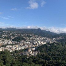 Pesquisadores descobrem novo ‘fungo zumbi’ em reserva florestal do Rio de Janeiro - Wikimedia Commons/Vitorperrut555