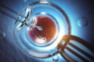Estudo da Lancet põe em xeque promessas de sucesso da fertilização