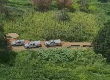 Homem agride companheira e foge levando filha do casal -  (crédito: Reprodução)