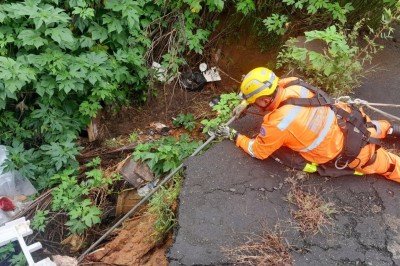 Cadela &eacute; resgatada pelo Corpo de Bombeiros em Arax&aacute; -  (crédito: Corpo de Bombeiros/Divulga&ccedil;&atilde;o)