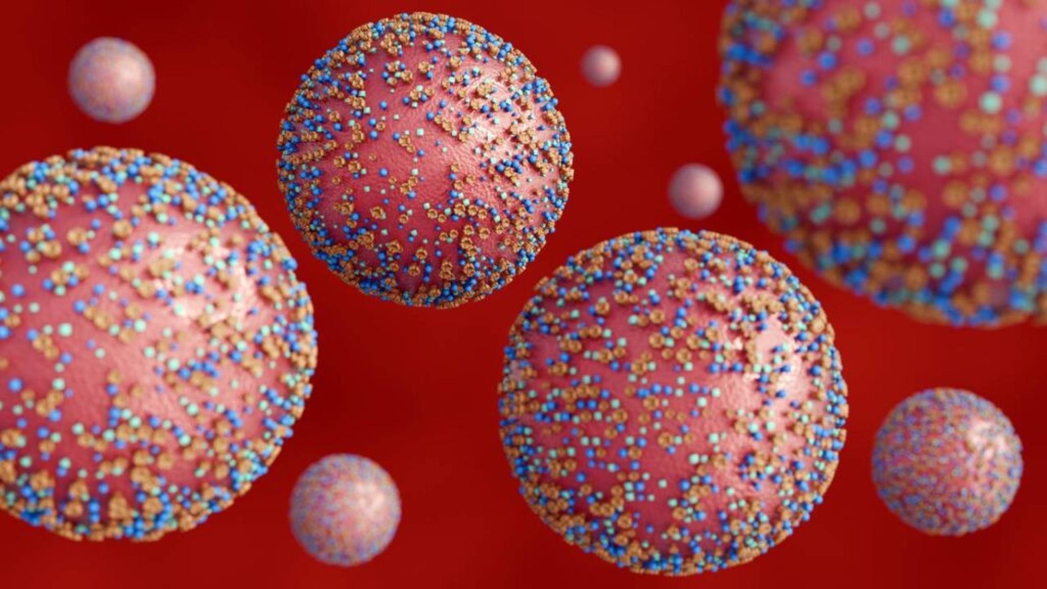 De onde surgiu o Nipah e por que se tornou uma preocupação - Portal Giro 10