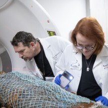 Dor lombar não é de hoje: exame em múmias revela o que egípcios sentiam - Ricardo Carrasco III/Reprodução