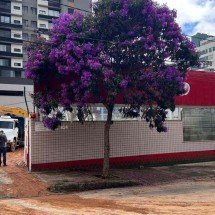 Tradicional pizzaria de BH é demolida; moradores lamentam - Ed&eacute;sio Ferreira/EM/D.A Press