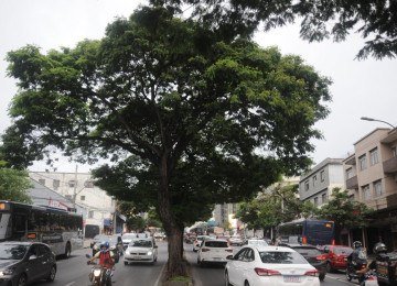 Bairros em BH passam por constante valoriza&ccedil;&atilde;o e expans&atilde;o. -  (crédito: Alexandre Guzanshe/EM/D.A. Press.)