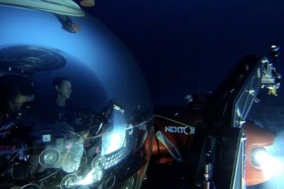 <p>Cientistas identificaram três novas espécies de peixes caracol abissais no oceano Pacífico, coletadas a profundidades entre 3.268 e 4.100 metros com o auxílio de veículos tripulados e remotos.</p>
 -  (crédito: Reproduc?a?o/YouTube)